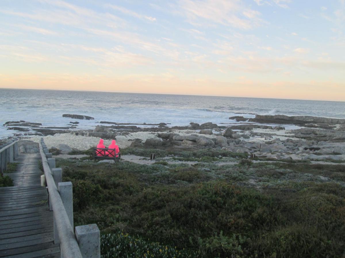 Apartamento The Potting Shed Self Catering Hermanus Exterior foto