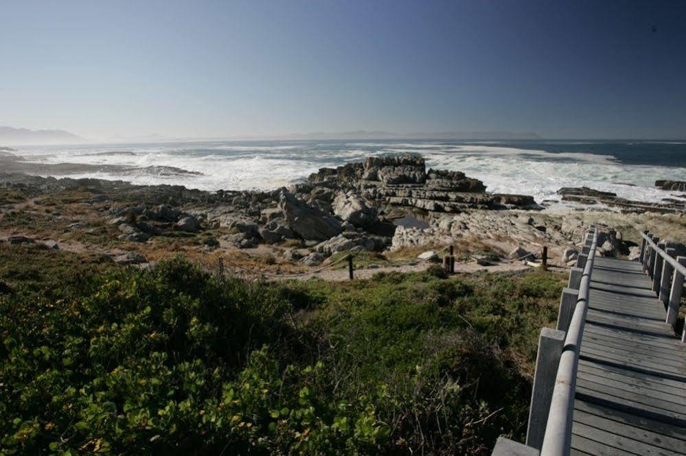Apartamento The Potting Shed Self Catering Hermanus Exterior foto