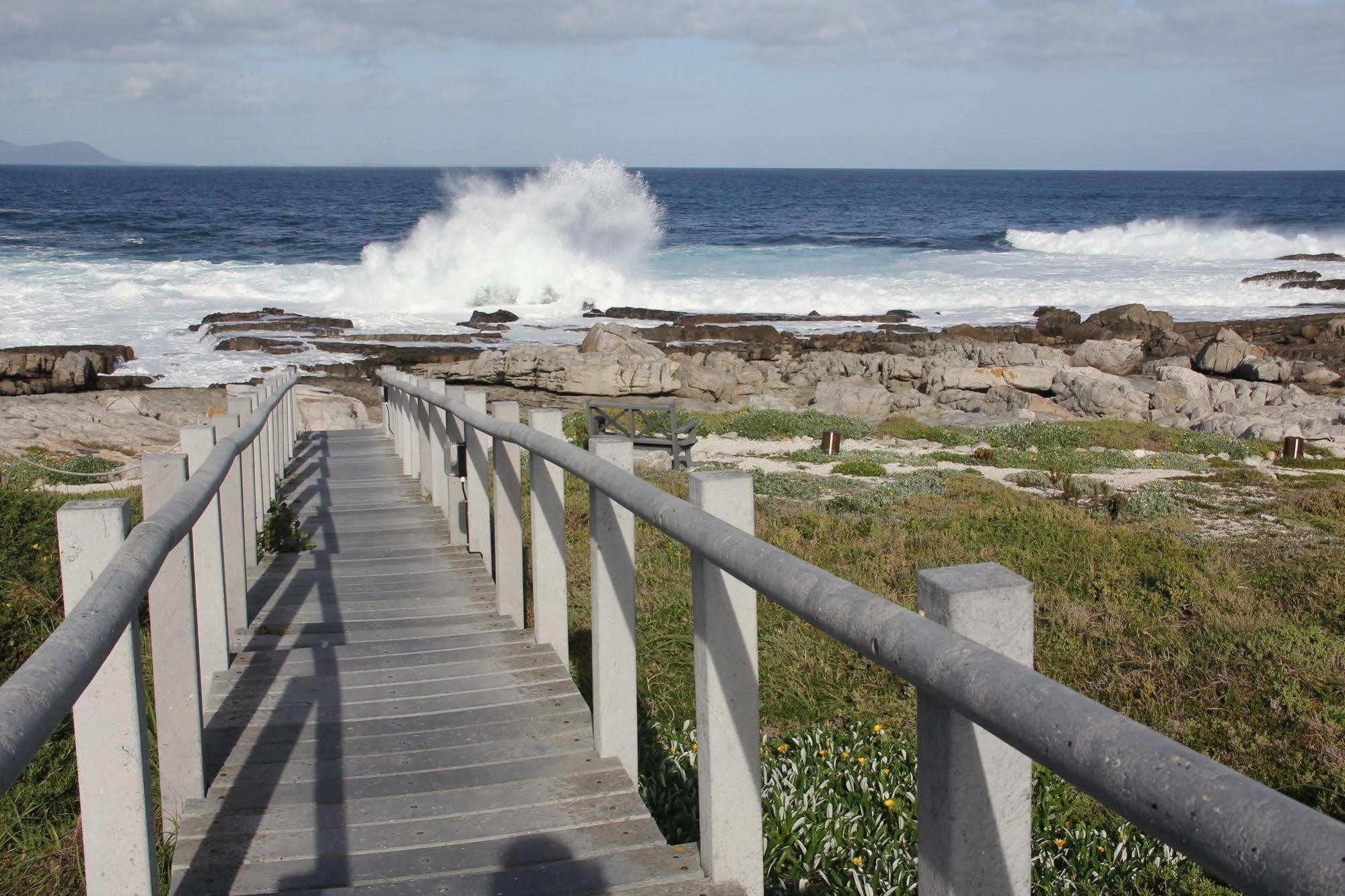 Apartamento The Potting Shed Self Catering Hermanus Exterior foto