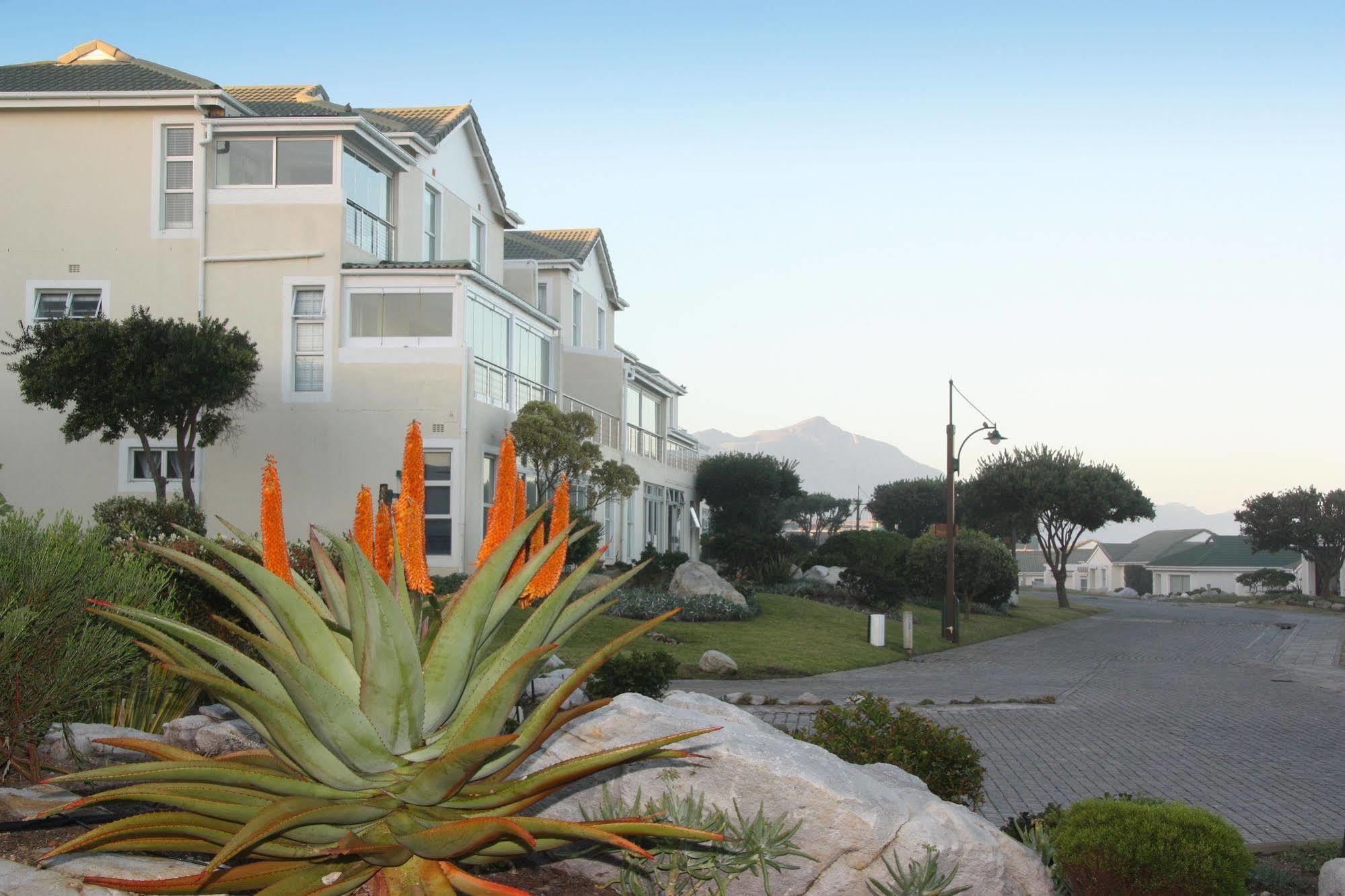 Apartamento The Potting Shed Self Catering Hermanus Exterior foto